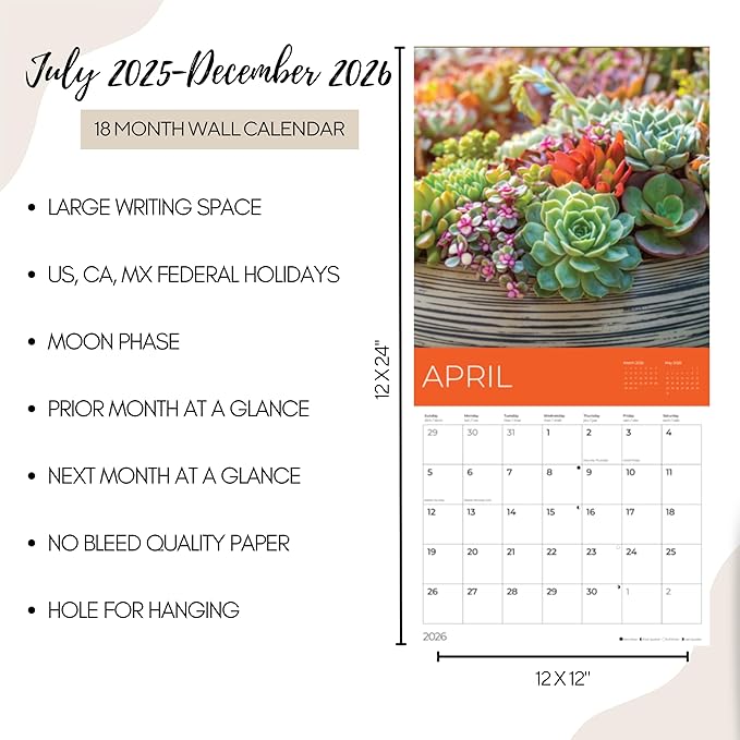 2026 Succulents Wall Calendar 18 Month | 12" x 24" Open | Giftable Flowers Calendar 2026 | Thick & Sturdy Paper for Organizing & Planning | Pacific Waters Press (Succelents)