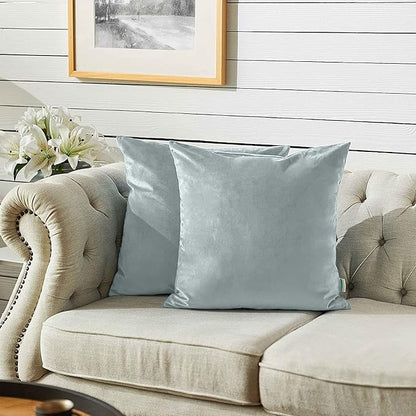 FY FIBER HOUSE Pack of 2 Velvet Throw Pillow Covers Decorative Square Pillowcase Soft Solid Cushion Case for Sofa/Couch Use, 18 x 18 Inch Light Grey