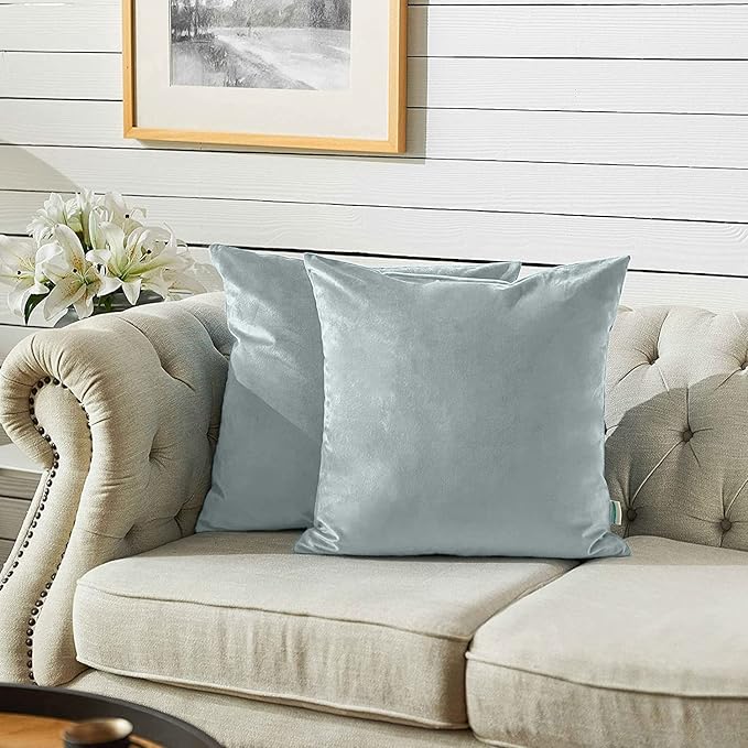 FY FIBER HOUSE Pack of 2 Velvet Throw Pillow Covers Decorative Square Pillowcase Soft Solid Cushion Case for Sofa/Couch Use, 20 x 20 Inch Light Grey