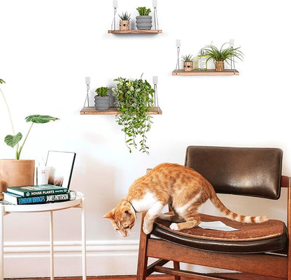 MITIME Floating Shelves Set of 3 Rustic Solid Wood Floating Shelf Wall Storage Shelves for Living Room, Bedroom, Bathroom, Kitchen Laundry, Office,no Drill Shelf (Light Color L+M+S)