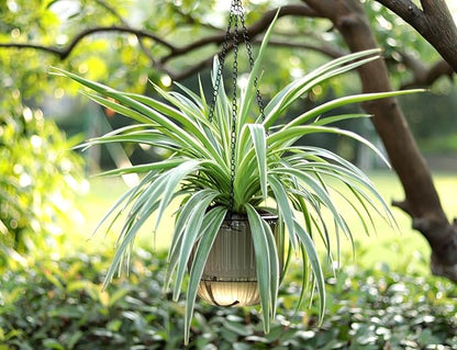 Meicynhoger 2-Pack Vintage Plastic Self-Watering Hanging Planters for Spider Plant,Ivy,Monstera,African Violets - 6.5" Clear Flower Pot with Hooks for Indoor Outdoor,Table, Balcony, Wall,Garden Gray