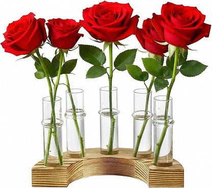 Plant Propagation Station with Wooden Stand, Valentines Day Gift, Glass Propagation Vase for Plants, Plant Terrarium Birthday Gifts for Women Mom Plants Lovers, Home Office Garden Decor, 5 Glass Tubes