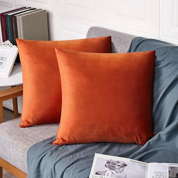 FEVERQIYI Burnt Orange Velvet Pillow Covers Set of 2 Decorative Square Throw Pillowcase Soft Solid 18x18 inch Cushion Covers for Bedroom Living Room Outdoor Indoor Decoration
