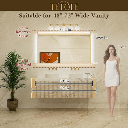 TETOTE 55 x 30 Backlit Mirror Brushed Nickel Metal Frame LED Light Vanity 3-Color White/Warm/Natural Stepless Dimmable Anti-Fog Backlight Mirror Wall-Mounted