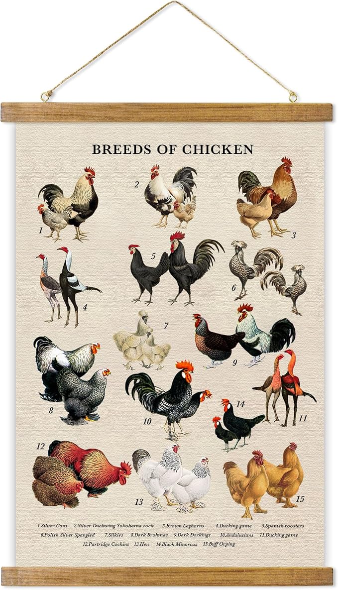 ABoby Vintage Illustrated Chicken Breeds Posters - Farmhouse Wall Art - Retro Style Wall Decor Painting with Wood Frames - Ready to Hang