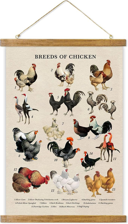 ABoby Vintage Illustrated Chicken Breeds Posters - Farmhouse Wall Art - Retro Style Wall Decor Painting with Wood Frames - Ready to Hang