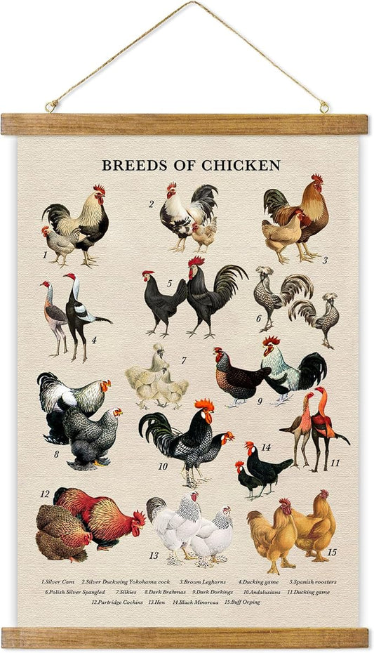 ABoby Vintage Illustrated Chicken Breeds Posters - Farmhouse Wall Art - Retro Style Wall Decor Painting with Wood Frames - Ready to Hang