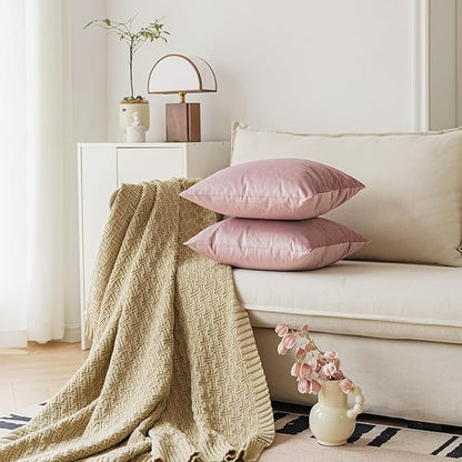 NiNi ALL Decorative Throw Pillow Covers Velvet 28x28 Inch Pack of 2 Dusty Pink Cushion Covers Soft for Couch Sofa Bedroom Living Room Outdoor