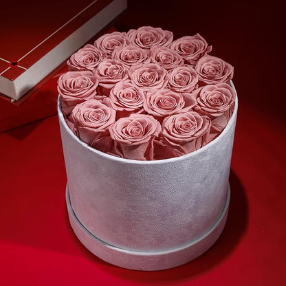 17 Flowers in a Luxury Suede Box, Birthday Gifts for Women, Preserved Flowers, Mothers Day Roses Gift for Mom, Dusty Rose