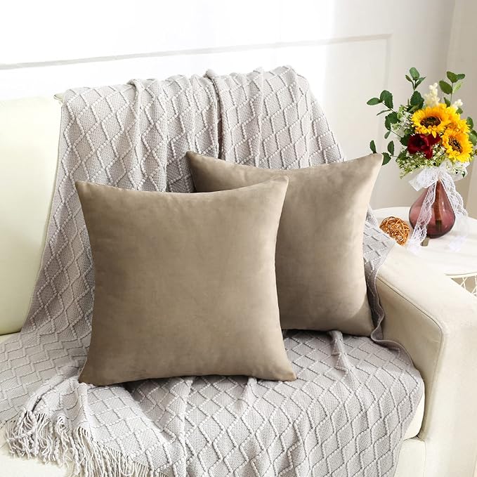 Jeneoo Light Brown Decorative Throw Pillow Covers Velvet Super Soft Thick Solid Square Euro Cushion Cases Pillowcase for Sofa Living Room Decor, Set of 2, 18 x 18 Inches