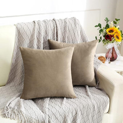 Jeneoo Light Brown Decorative Throw Pillow Covers Velvet Super Soft Thick Solid Square Euro Cushion Cases Pillowcase for Sofa Living Room Decor, Set of 2, 18 x 18 Inches