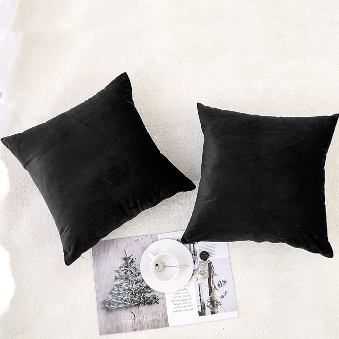 NiNi ALL Decorative Throw Pillow Covers Pack of 2, Velvet Throw Pillow Cases for Couch Pillows Cover Bedroom Living Room Outdoor, Pillow Covers 14x14 Inch Black