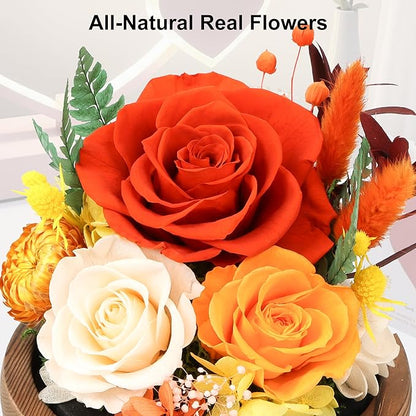 Preserved Flowers In Glass Dome, Eternal Flowers, Forever Flower, Birthday Gifts for Women, Gifts for Mom Girlfriend Her Friendship, Home Decor Bedroom Living Room (Terracotta)