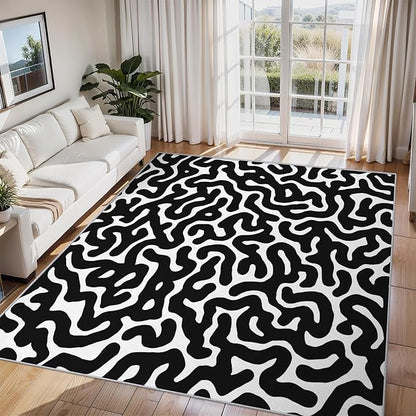 3x5 Black Abstract Line Rugs for Bedroom Decor, Washable Abstract Maze Pattern Area Rug, Living Room Home Decoration, Non Slip Soft Thin, Black and White Decor Carpet PF-P 56
