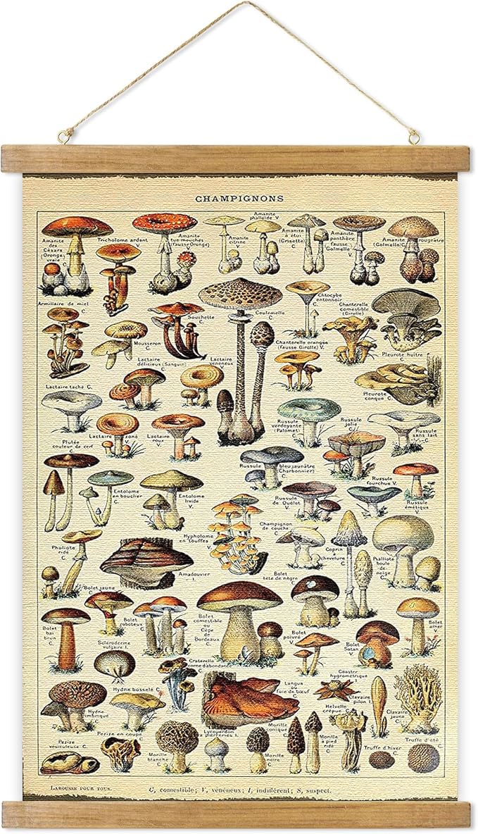 ABoby Vintage Hanging Posters, Decorative Mushroom Wall Art Prints, Printed on Linen with Wood Frames, Ready to Hang