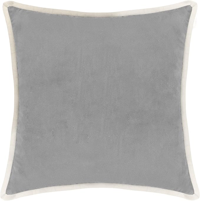 FINGERCRAFT Decorative Throw Pillow Cover Pack of 2 Soft Velvet Cushion Cover, Sofa and Bedroom Pillow Case 22" x 22" Silver