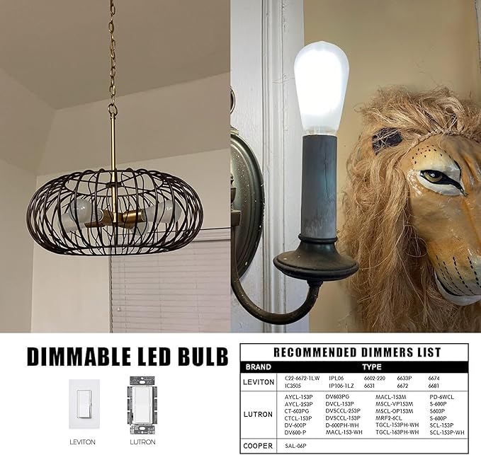 E26 Frosted Vintage LED Edison Bulbs, 4W, Equivalent 40W, Daylight White 5000K,ST58 Dimmable Antique LED Filament Bulbs with 90+ CRI, 400LM,AC120V,Pack of 6 (4W=40W Daylight White)