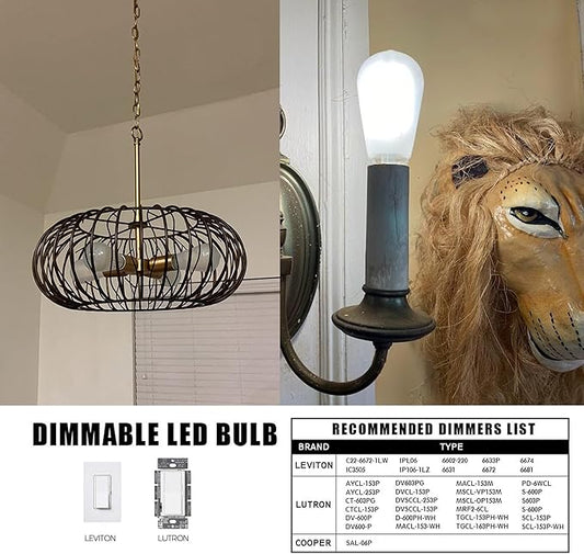 E26 Frosted Vintage LED Edison Bulbs, 4W, Equivalent 40W, Daylight White 5000K,ST58 Dimmable Antique LED Filament Bulbs with 90+ CRI, 400LM,AC120V,Pack of 6 (4W=40W Daylight White)