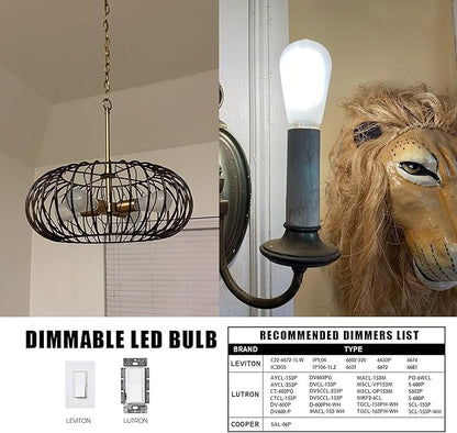 Dimmable Frosted Edison Bulbs,E26, 6W Equivalent 60W,600LM, Daylight White 5000K, AC120V,ST58 Antique LED Filament Bulbs with 90+ CRI, Frosted Glass, Pack of 6 (6W=60W Daylight)
