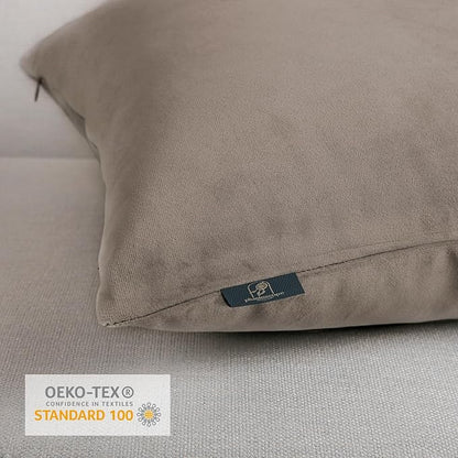 Phantoscope Pack of 2 Velvet Decorative Throw Decorative Pillow Cover Soft Solid Square Cushion Case for Couch Taupe 12 x 20 inches 30 x 50 cm