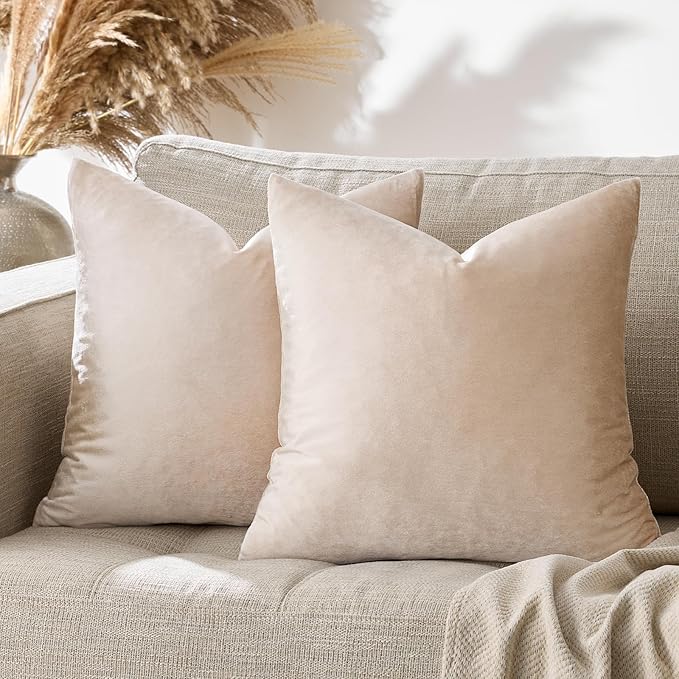 GIGIZAZA Velvet Throw Pillow Covers 20x20,Pack of 2 Champagne Beige Modern Pillow Covers Square Big Solid Pillow Vintage Cases for Living Room Couch