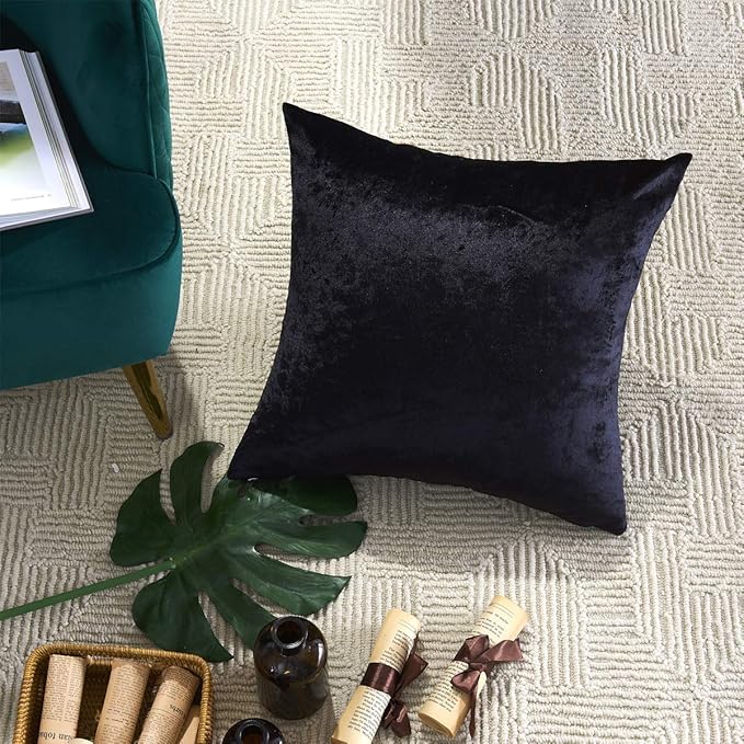 GIGIZAZA Black Velvet Pillow Covers 16x16,Decorative Square Throw Pillows Modern Covers Small Solid Living Room Pillow Cases for Couch Pack of 2
