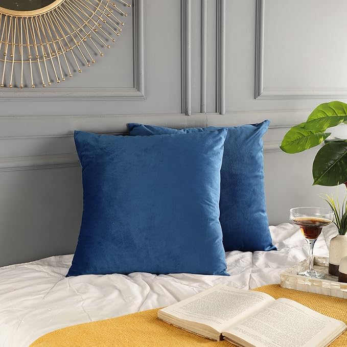 RELY+ Pack of 2 Throw Pillow Covers 16x16 Inch Velvet Soft Cozy Solid Decoration Gifts Pillow Covers Luxury Cushion Case for Sofa Couch Bedroom Living Room (Blue, 18 X 18)