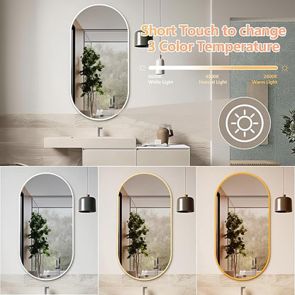 Niccy Oval LED Bathroom Vanity Mirror, 48"x24" Front lit Mirror with Light, Smart Anti-Fog Waterproof Mirror with Memory Function Dimmable Lighted Mirror