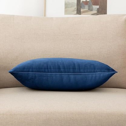 NiNi ALL Decorative Throw Pillow Covers Velvet 20x30 Inch Pack of 2 Blue Cushion Covers Soft for Couch Sofa Bedroom Living Room Outdoor