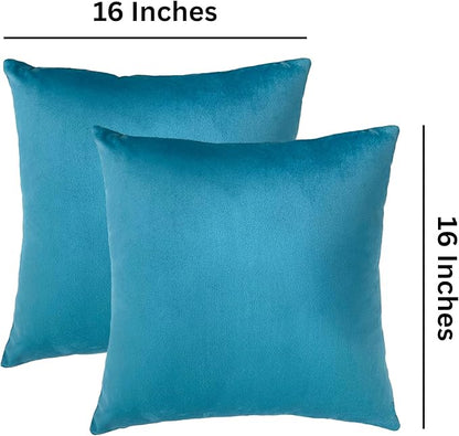 RELY+ Pack of 2 Throw Pillow Covers 16x16 Inch Velvet Soft Cozy Solid Decoration Gifts Pillow Covers Luxury Cushion Case for Sofa Couch Bedroom Living Room - Turquise