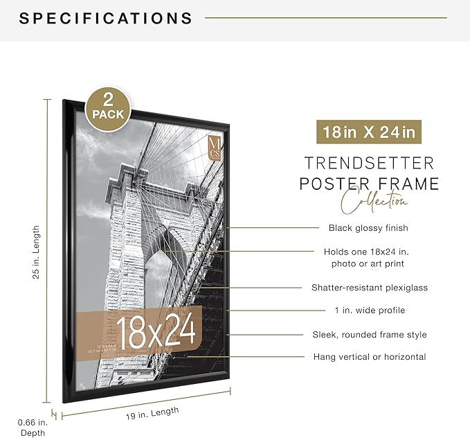 MCS Trendsetter 18x24 Poster Frame Black High-Gloss, Vertical & Horizontal Wall Hanging Large Picture Frame for Photos, Posters & Art Prints (2-Pack)