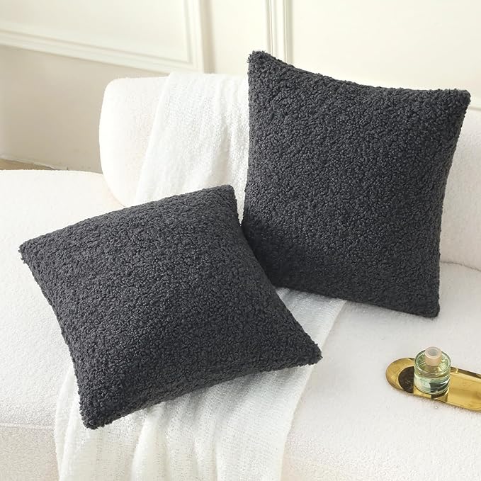 FUTEI Charcoal Throw Pillow Covers 18x18 Inch Set of 2,Furry Faux Fur Teddy Boucle Textured Cushion Covers,Soft Fluffy Decorative Pillow Case,Home Decor for Couch Bed Living Room Office Car