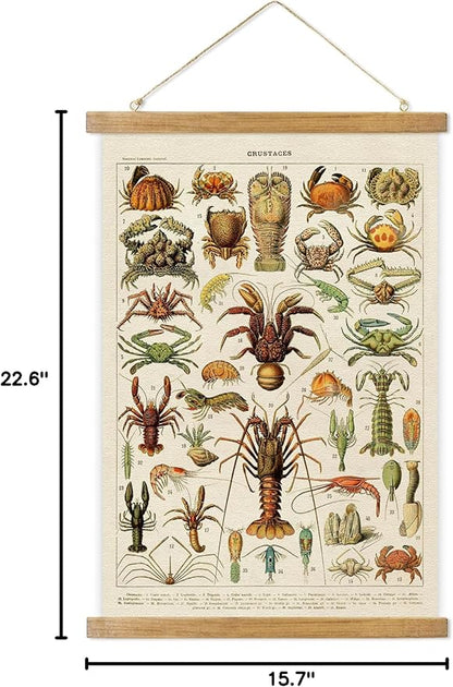 ABoby Vintage Hanging Posters, Decorative Crustaces Wall Art Prints, Printed on Linen with Wood Frames, Ready to Hang