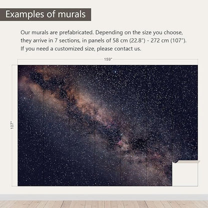 AFZEVEB-Galaxy Stars Wallpaper Wall murals for Ceiling 159"x107"(Not Peel and Stick)