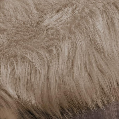 Latepis 2x3 Brown Beige Small Faux Fur Rug Fluffy Furry Rugs Throw Rug Washable Shag Plush Soft Rugs for Living Room Bedroom and Dorm