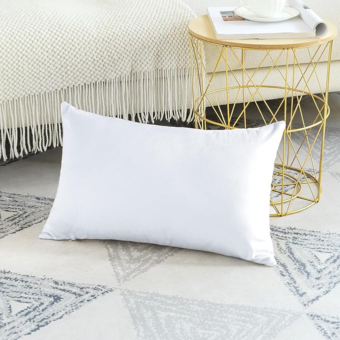 Artscope Set of 1 Luxury Velvet Pillow Covers Only Decorative Rectangle Pillowcases Soft Solid Cushion Cases for Couch Sofa Bedroom Car Decor 12x20 Inch White (ONLY Cover)