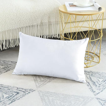 Artscope Set of 1 Luxury Velvet Pillow Covers Only Decorative Rectangle Pillowcases Soft Solid Cushion Cases for Couch Sofa Bedroom Car Decor 12x20 Inch White (ONLY Cover)