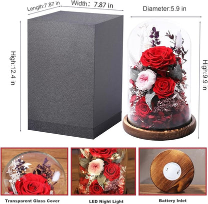 lovenfold Flowers for Delivery Preserved flowers Rose in Glass Dome,Red Rose Forever Flowers Birthday Gifts for Women Mom Grandma Friend Valentines Gifts for Her,Home Decor