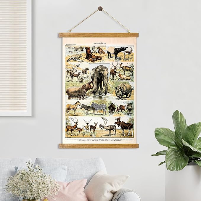 ABoby Vintage Illustrated Wildlife Chart Posters - Educational Animal Wall Art for Schools Homes - Retro Style Painting with Wood Frames