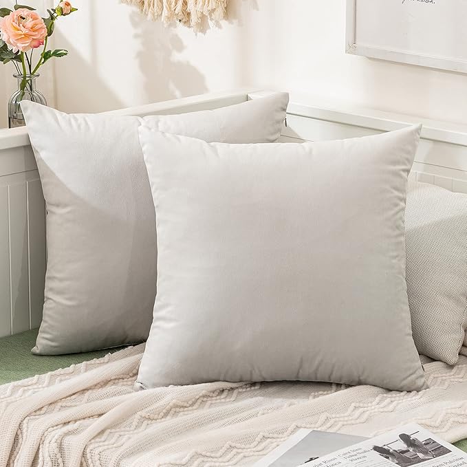 MIULEE Velvet Throw Pillow Covers 20x20 Inch, Pack of 2 - Greyish White, Soft Solid Decorative Pillow Covers Cushion Cases Modern Luxury Home Decor for Spring Couch Sofa Bedroom Livingroom