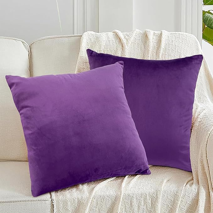 RELY+ Pack of 2 Throw Pillow Covers 16x16 Inch Velvet Soft Cozy Solid Decoration Gifts Pillow Covers Luxury Cushion Case for Sofa Couch Bedroom Living Room (Purple, 20 x 20)