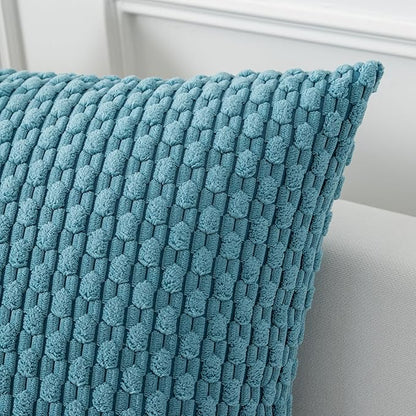Kevin Textile Throw Pillow Covers Soft Corduroy Decorative Set of 2 Boho Striped Pillow Covers Pillowcases Farmhouse Home Decor for Couch Bed Sofa Living Room 24x24 Inch Light Blue