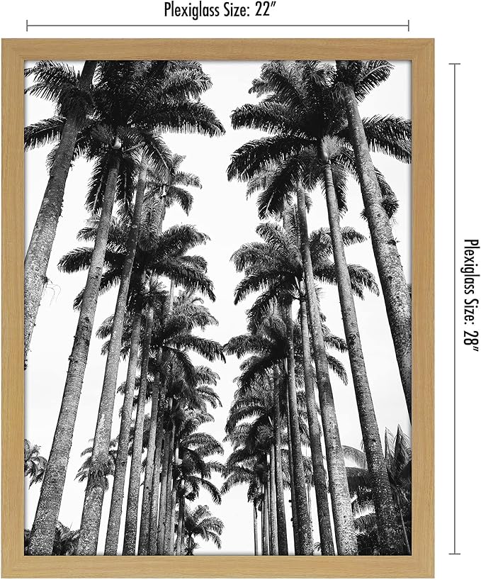 Americanflat 22x28 Poster Frame with Polished Plexiglass - Wide Picture Frames Made of Engineered Wood for Vertical or Horizontal Wall Display - Epic Collection - Pine