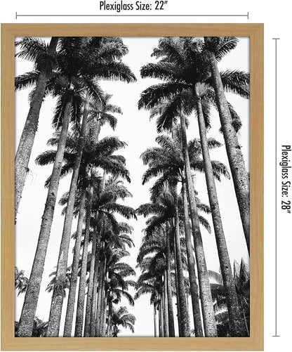 Americanflat 22x28 Poster Frame with Polished Plexiglass - Wide Picture Frames Made of Engineered Wood for Vertical or Horizontal Wall Display - Epic Collection - Pine