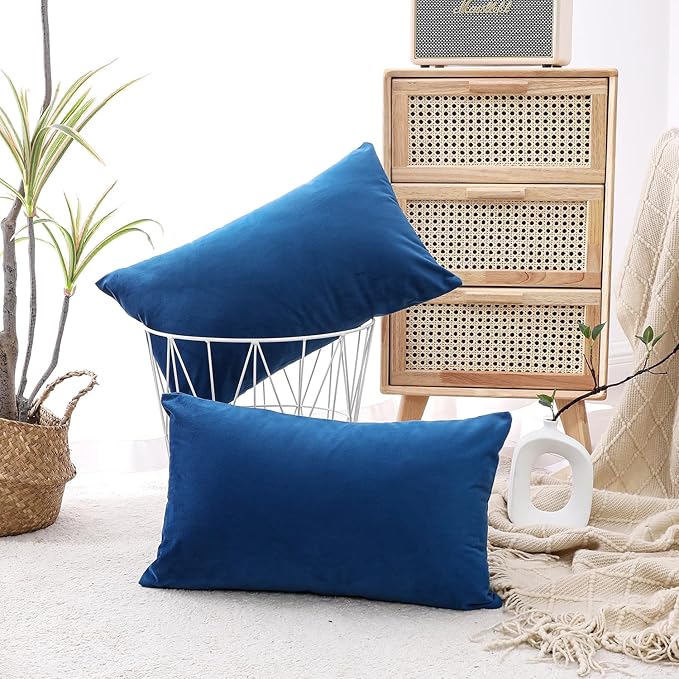 NiNi ALL Decorative Throw Pillow Covers Velvet 12x20 Inch Pack of 2 Blue Cushion Covers Soft for Couch Sofa Bedroom Living Room Outdoor