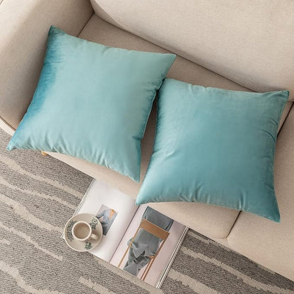 NiNi ALL Decorative Throw Pillow Covers Velvet 26x26 Inch Pack of 2 Light Blue Cushion Covers Soft for Couch Sofa Bedroom Living Room Outdoor