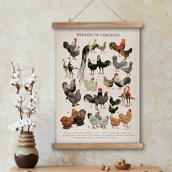 XIAOAIKA Vintage-Inspired Chicken Breeds Art Print - Educational Wall Hanging Poster with Wooden Frame - Rustic Farmhouse Decor, Perfect for Kitchen or Classroom 20 x 30 Inches