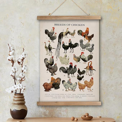 XIAOAIKA Vintage-Inspired Chicken Breeds Art Print - Educational Wall Hanging Poster with Wooden Frame - Rustic Farmhouse Decor, Perfect for Kitchen or Classroom 16 x 23 Inches