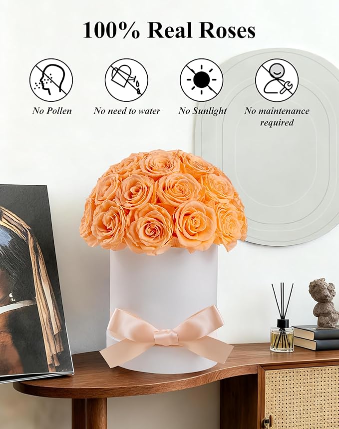 27 Forever Roses Dome in Luxury White Box, Eternal Real Roses Birthday Gifts for Women, Preserved Flowers for Delivery Prime, Anniversary, Valentine's Day, Mothers Day for Mom (Champagne)