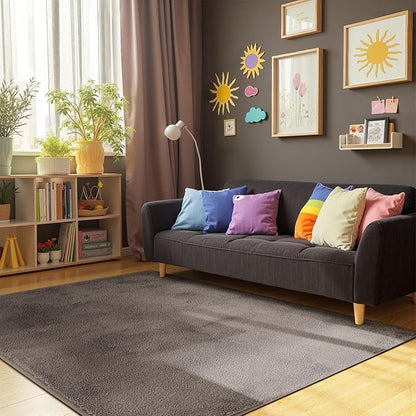 jinchan Solid Plush Area Rug 5x7 Performance Shaggy Washable Rug Indoor Soft Modern Faux Wool Cozy Non Slip Carpet for Living Room Kids Room Bedroom Dining Room Nursery Brown